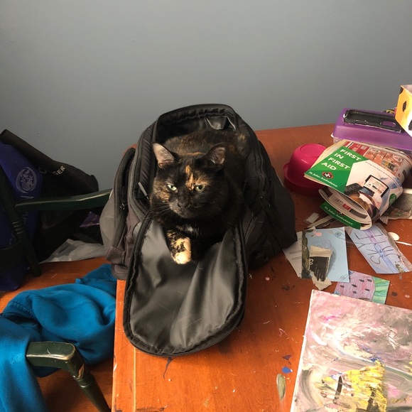 Meet your Posher, Tammy - Picture 8 of 16